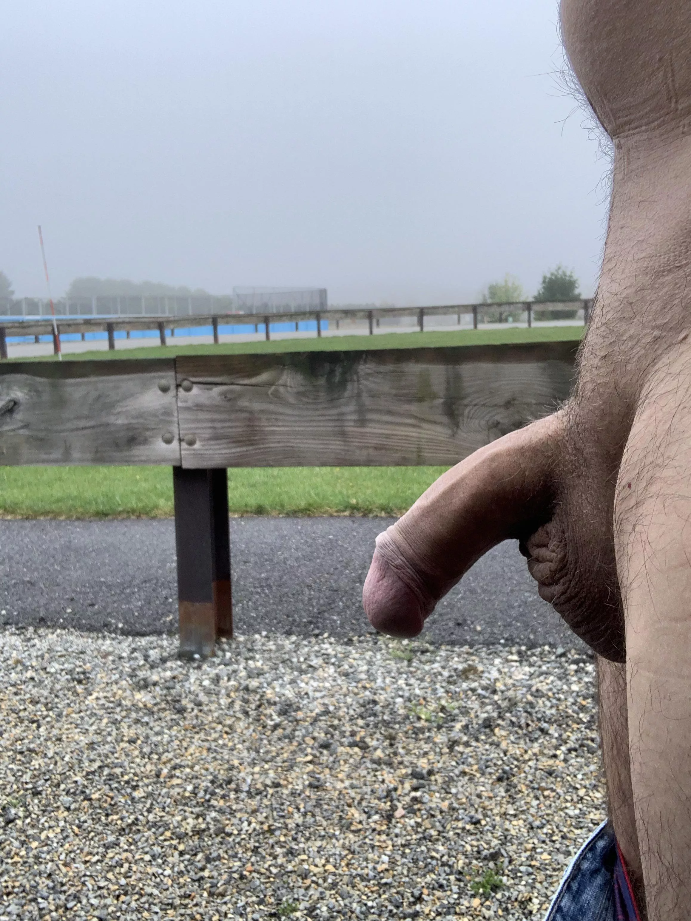 (56) stroll in the park this morning