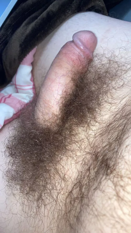 6 months no shave or trim