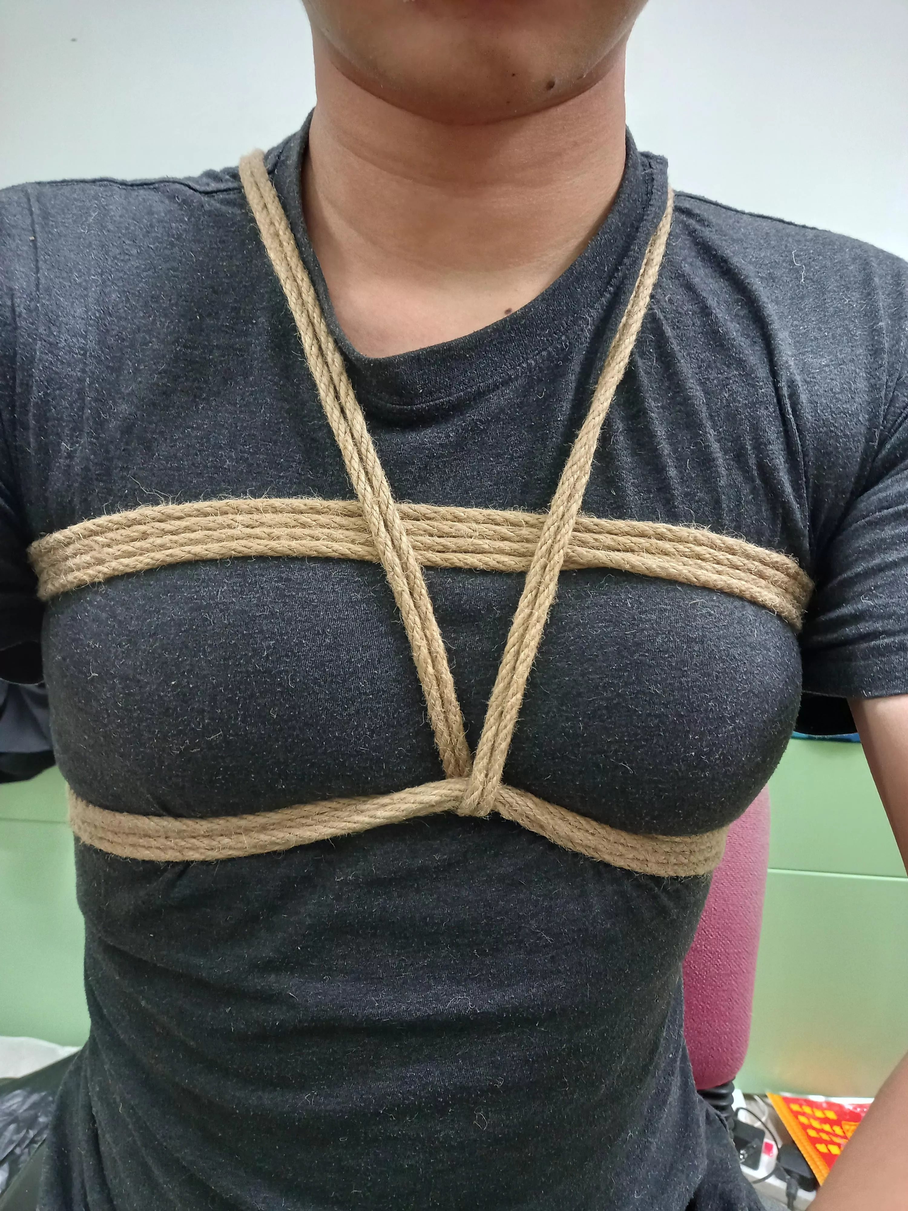 A beginner's attempt at a chest harness [F]