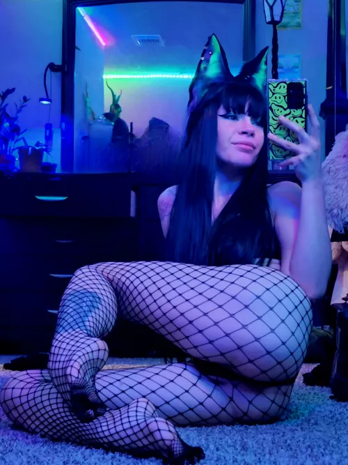 A bored kitty just gets into trouble, keep me busy?