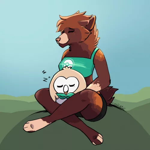 🌿A cozy nap☀️