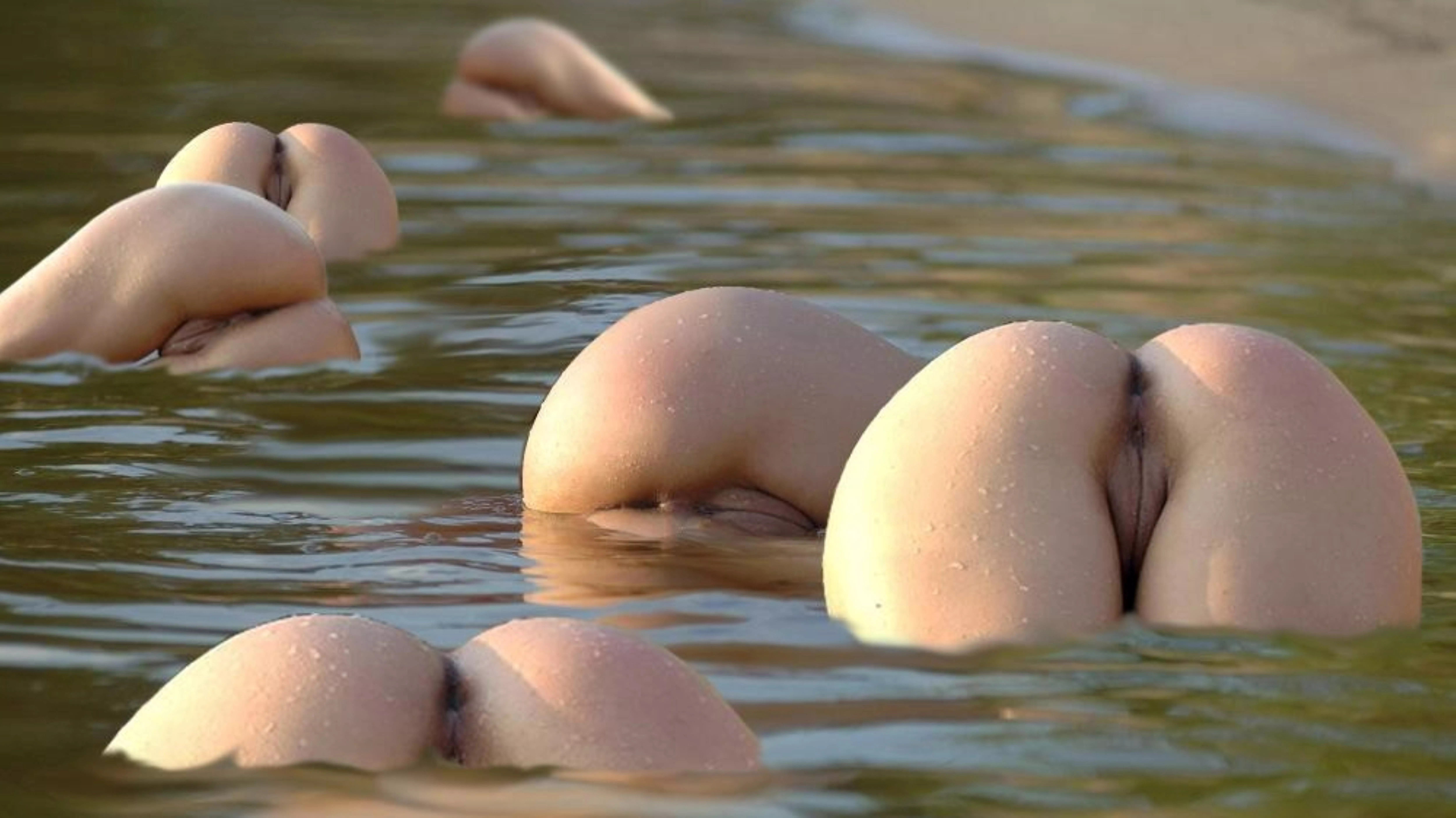 A Shoaling Of Asses 🐟