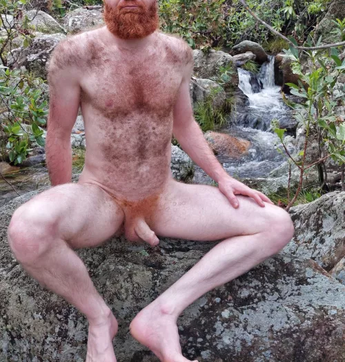 A soft ginger cock for you