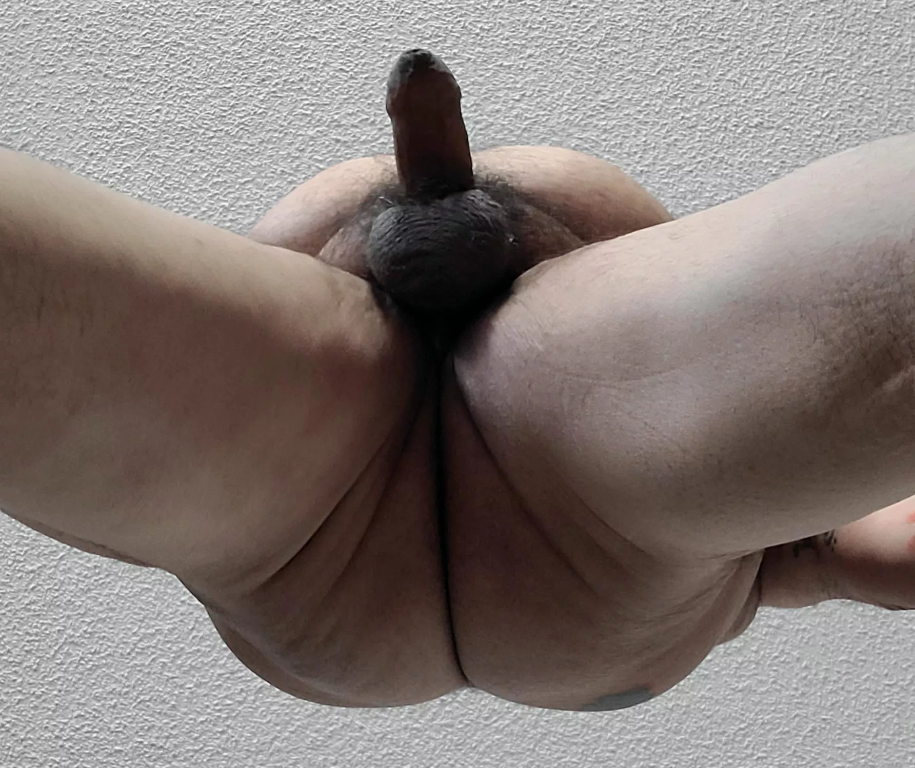 A view from below.
