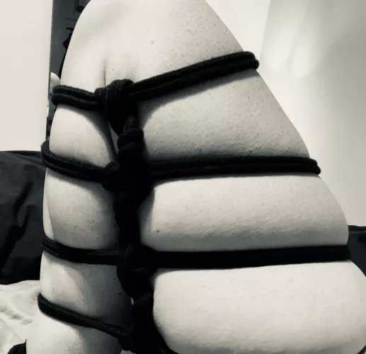 A whole lot of firsts - first post, first attempt at this tie.