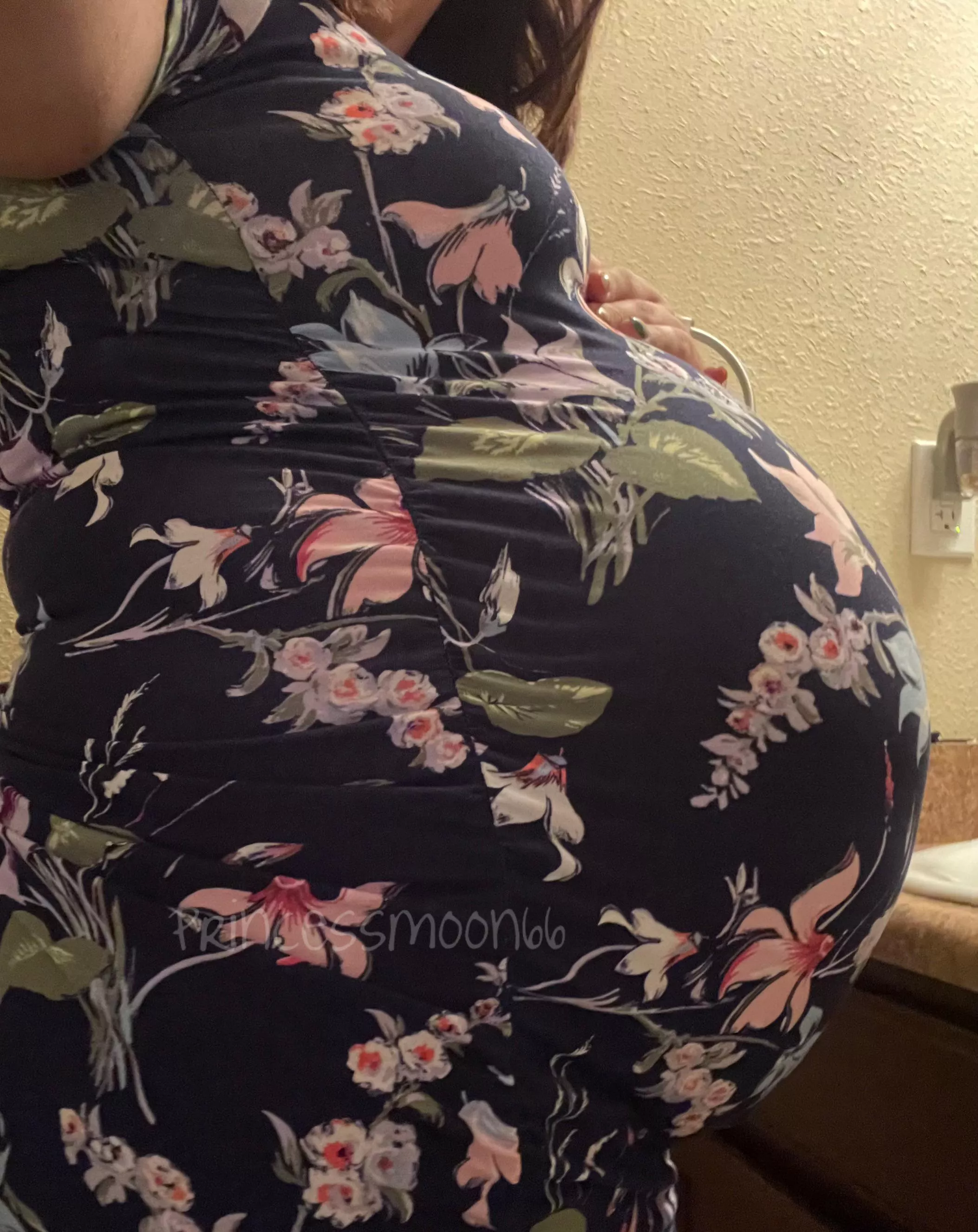 After a nice hand fed meal, love making my already round belly grow 🍔