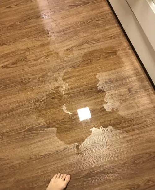 Aftermath on the floor, I’ve never seen such puss juice 🤣 feet for scale