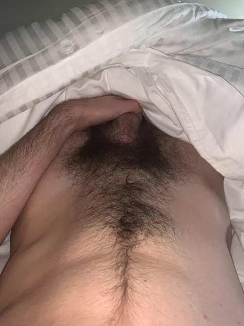 Afternoon nap and I thought my pubes looked nice