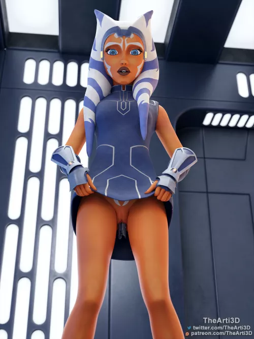 Ahsoka's secret (TheArti3D)