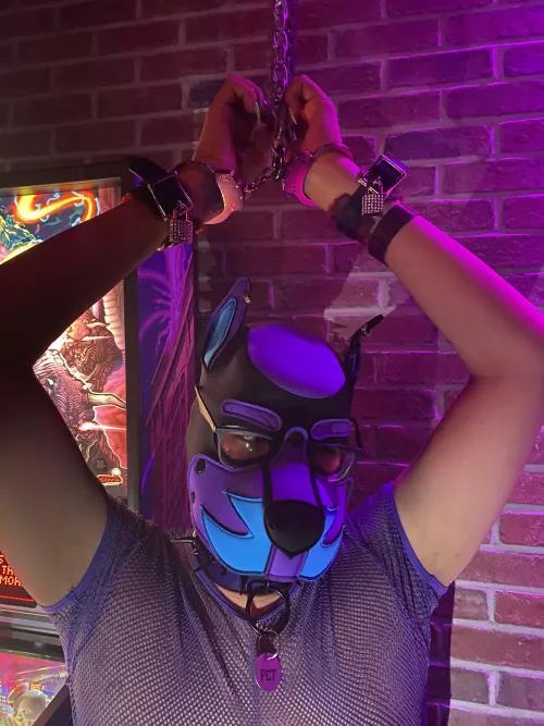 All chained Up. Woof 🐶