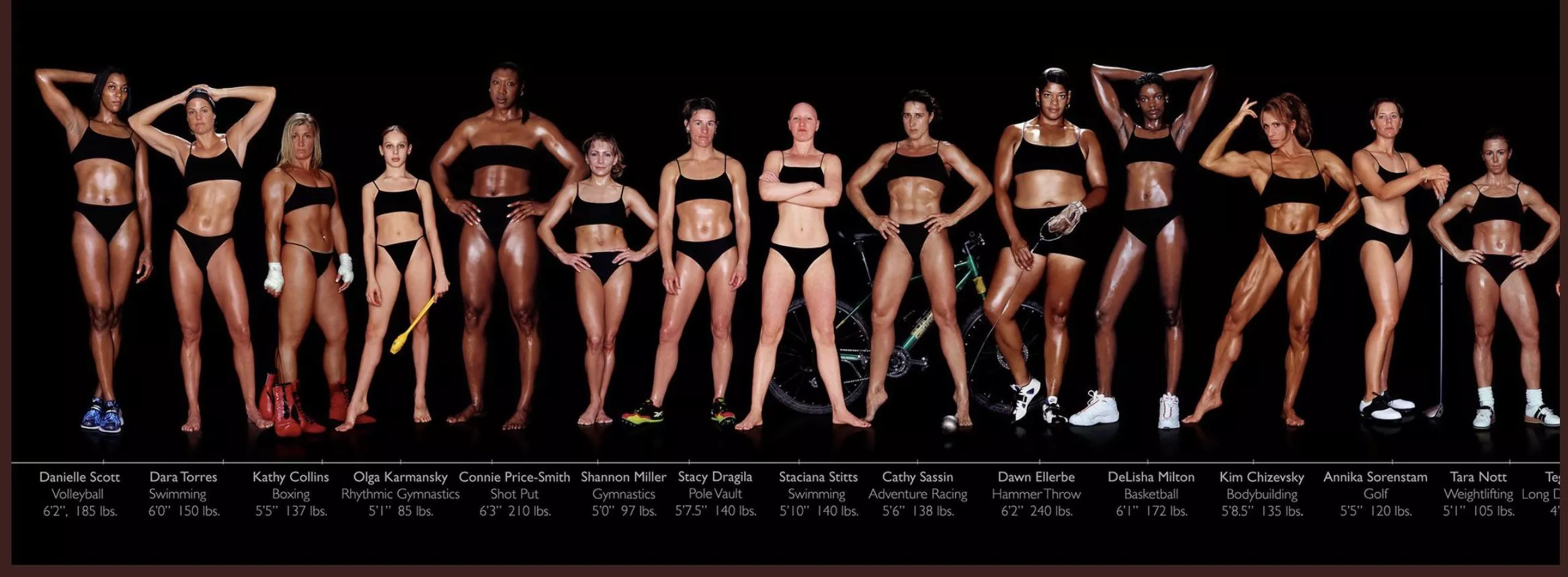 All of the sizes.