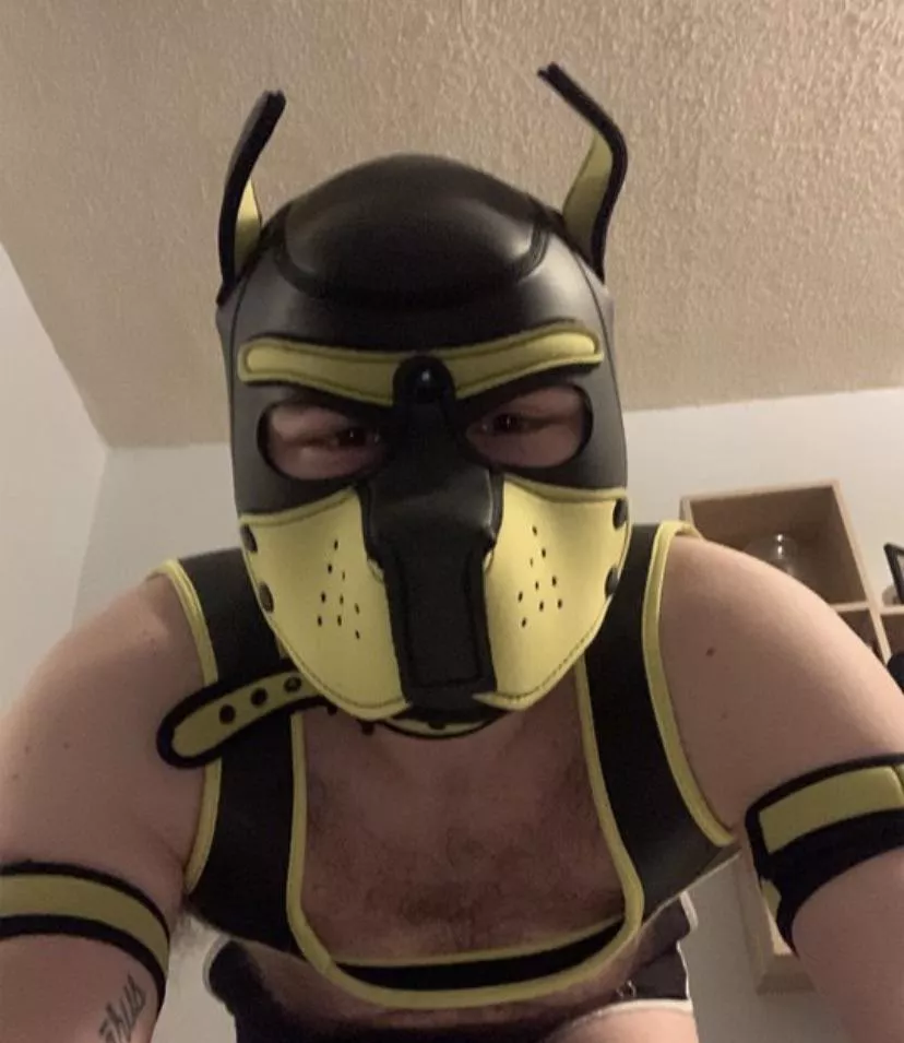 Am I a good boy?