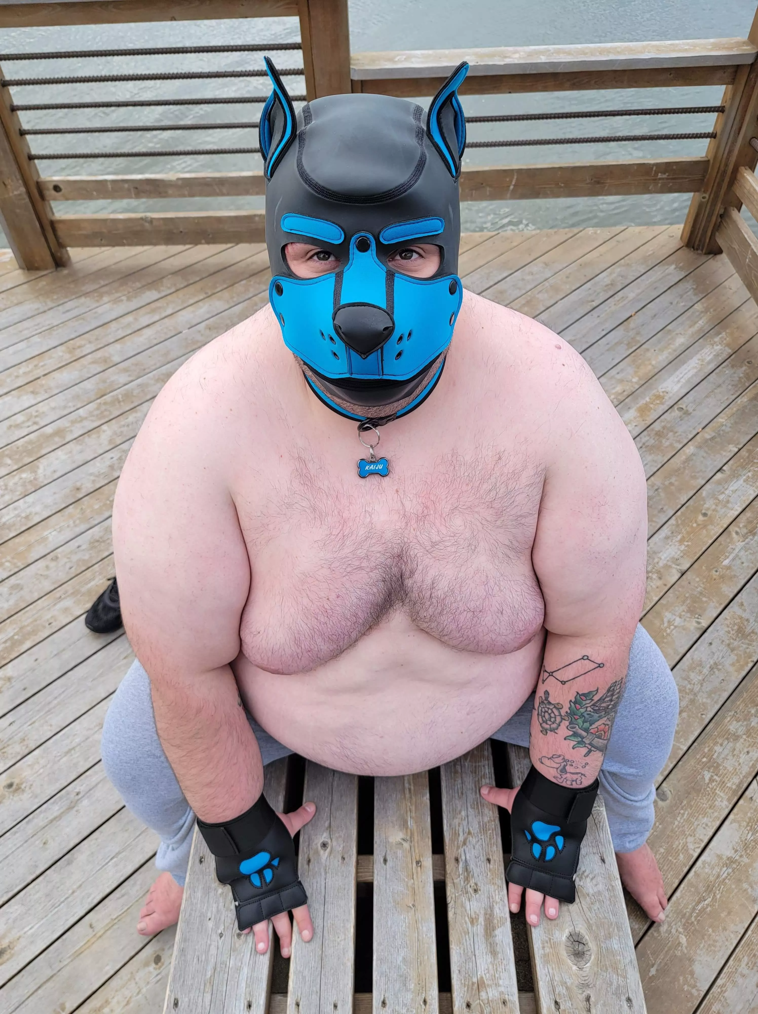 Am I a good boy? 🐶