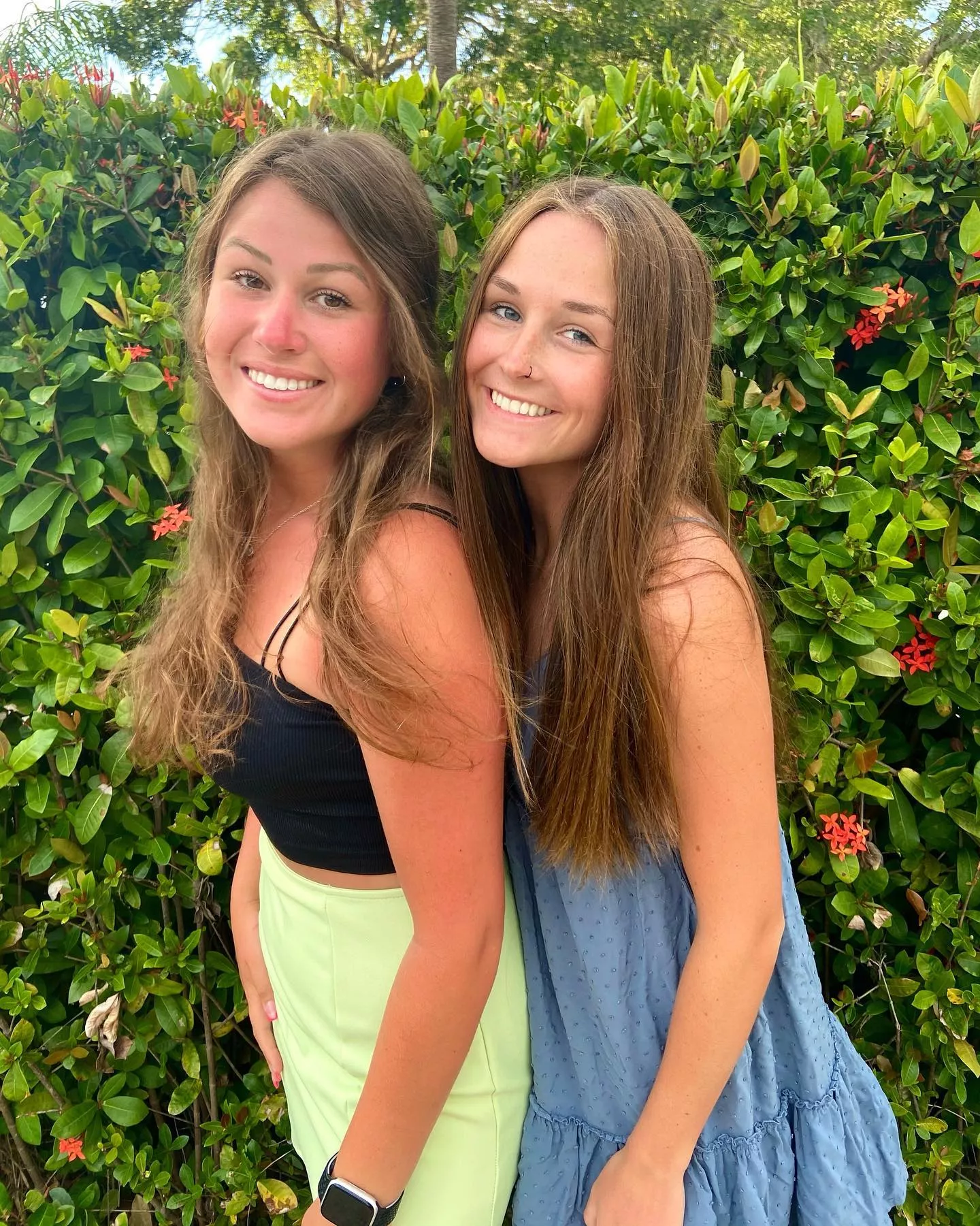 Among the Hedges
