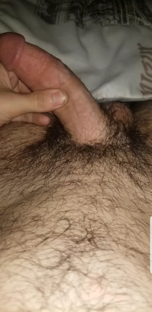 any girls want a virgin dick to try