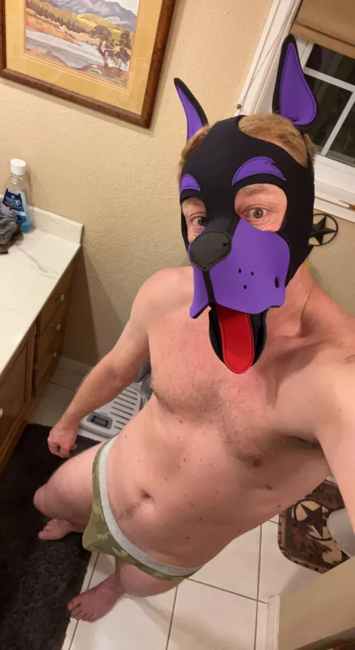 Any other cool pups in the Denver area ? Pup hot tub party?