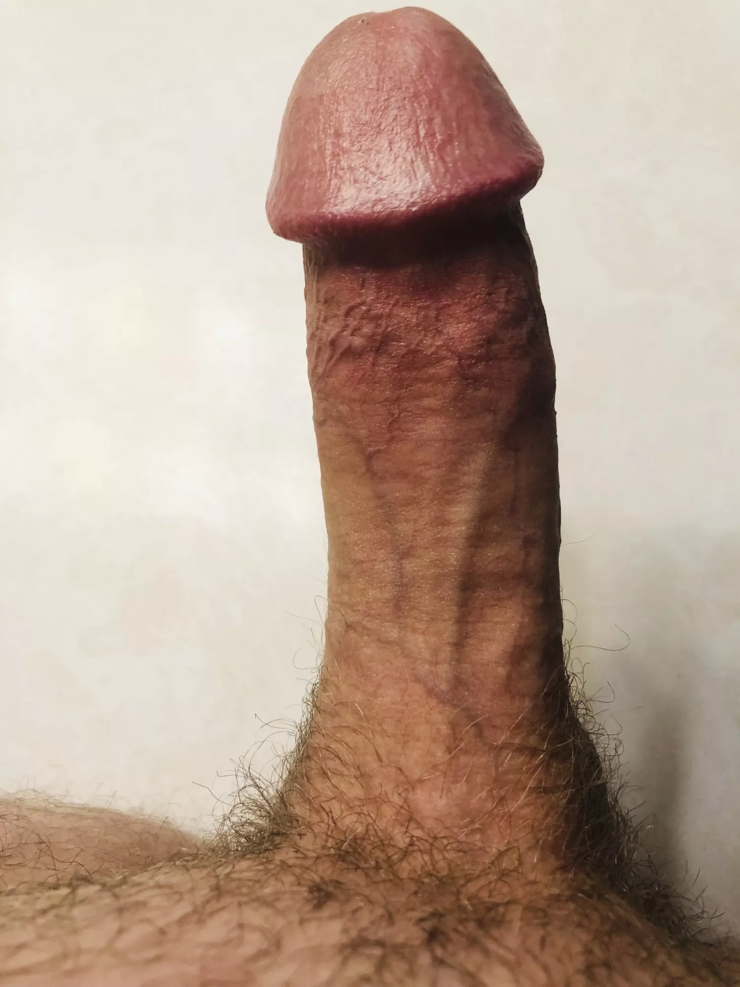 Anybody like it?