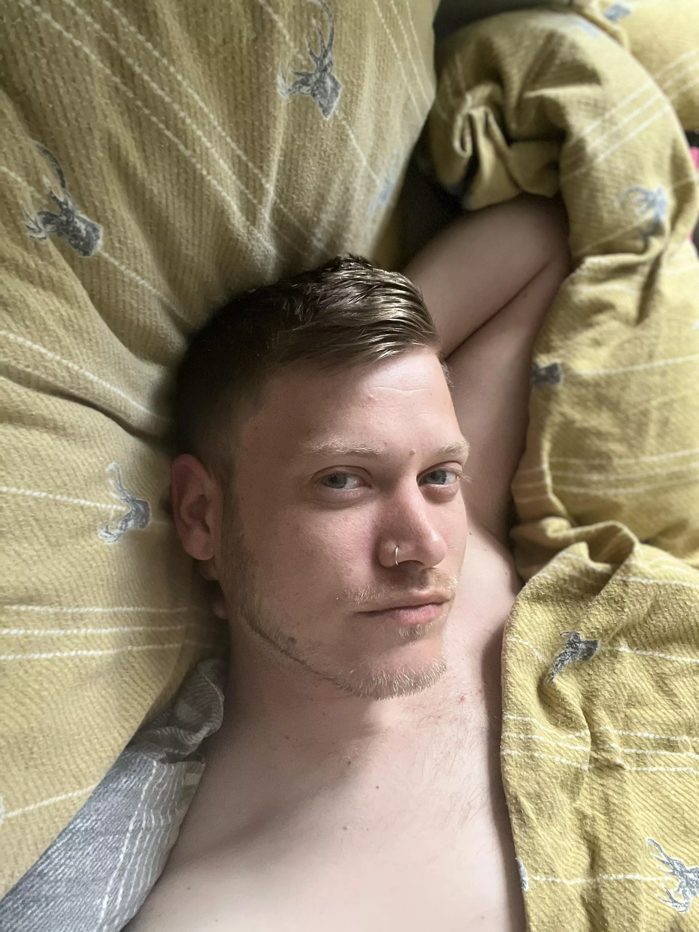 Anyone for a lazy day cuddled up in bed?