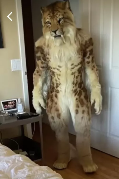 Anyone got any idea who’s fursuit this is? Found it on Facebook pet store page lmfao