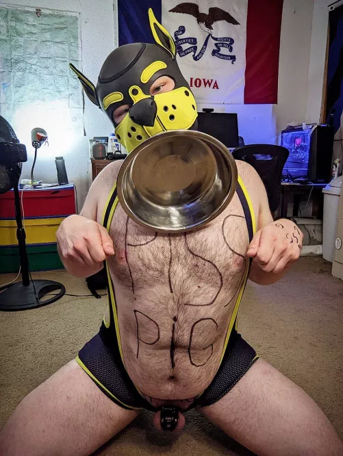 Anyone wanna fill my bowl?