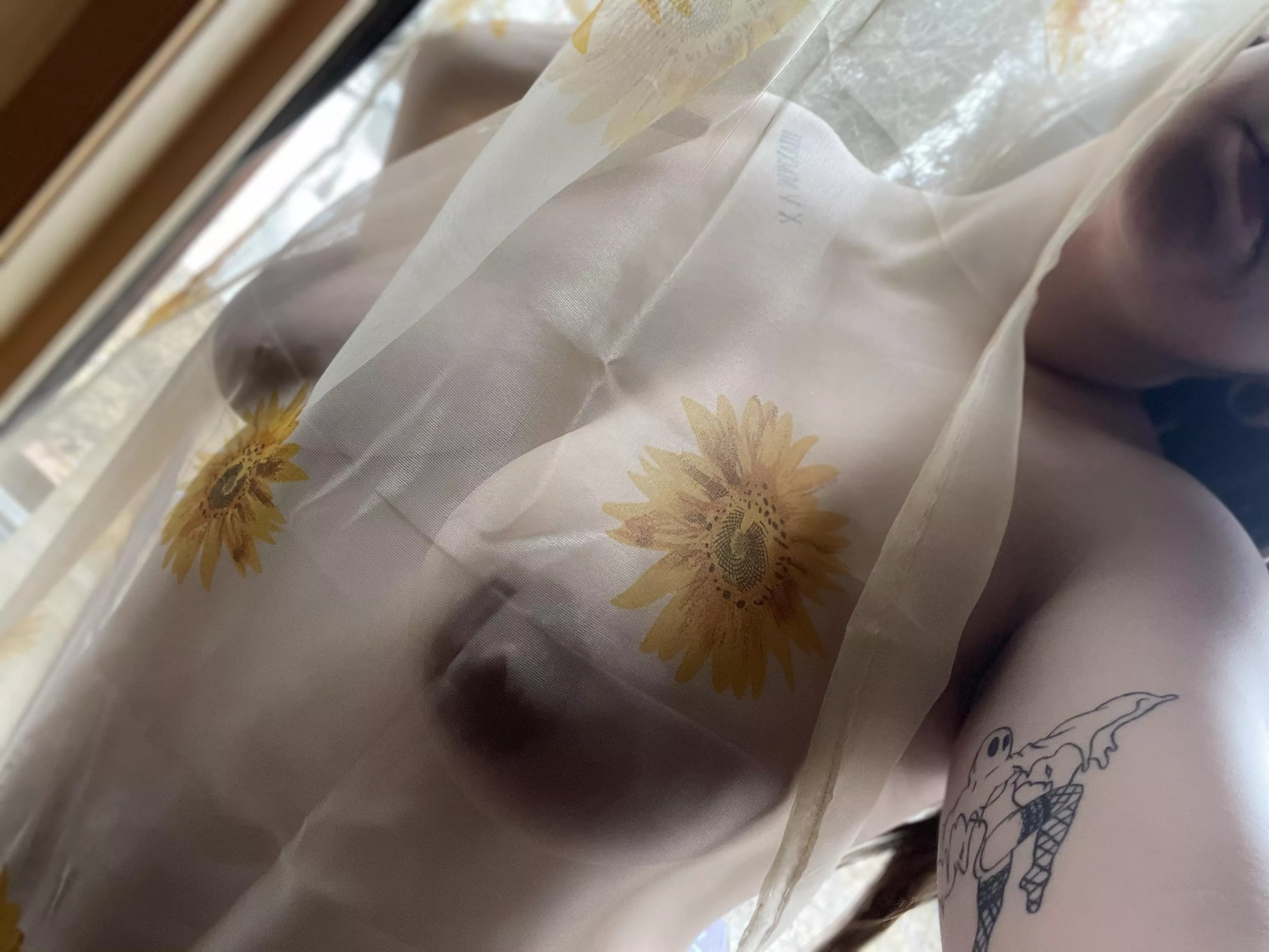 Aren’t my new curtains so pretty? 🌻