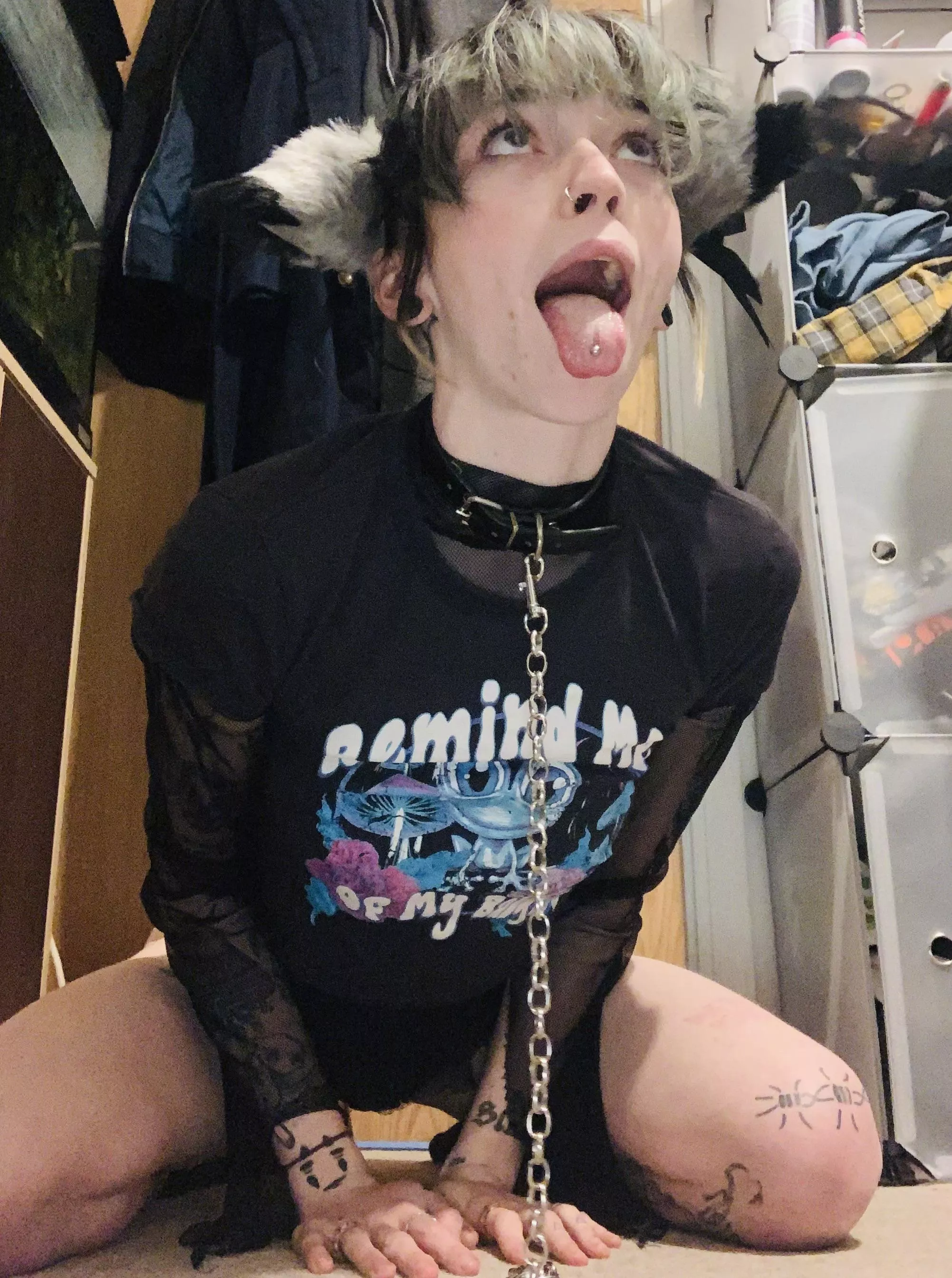 Arf Arf !