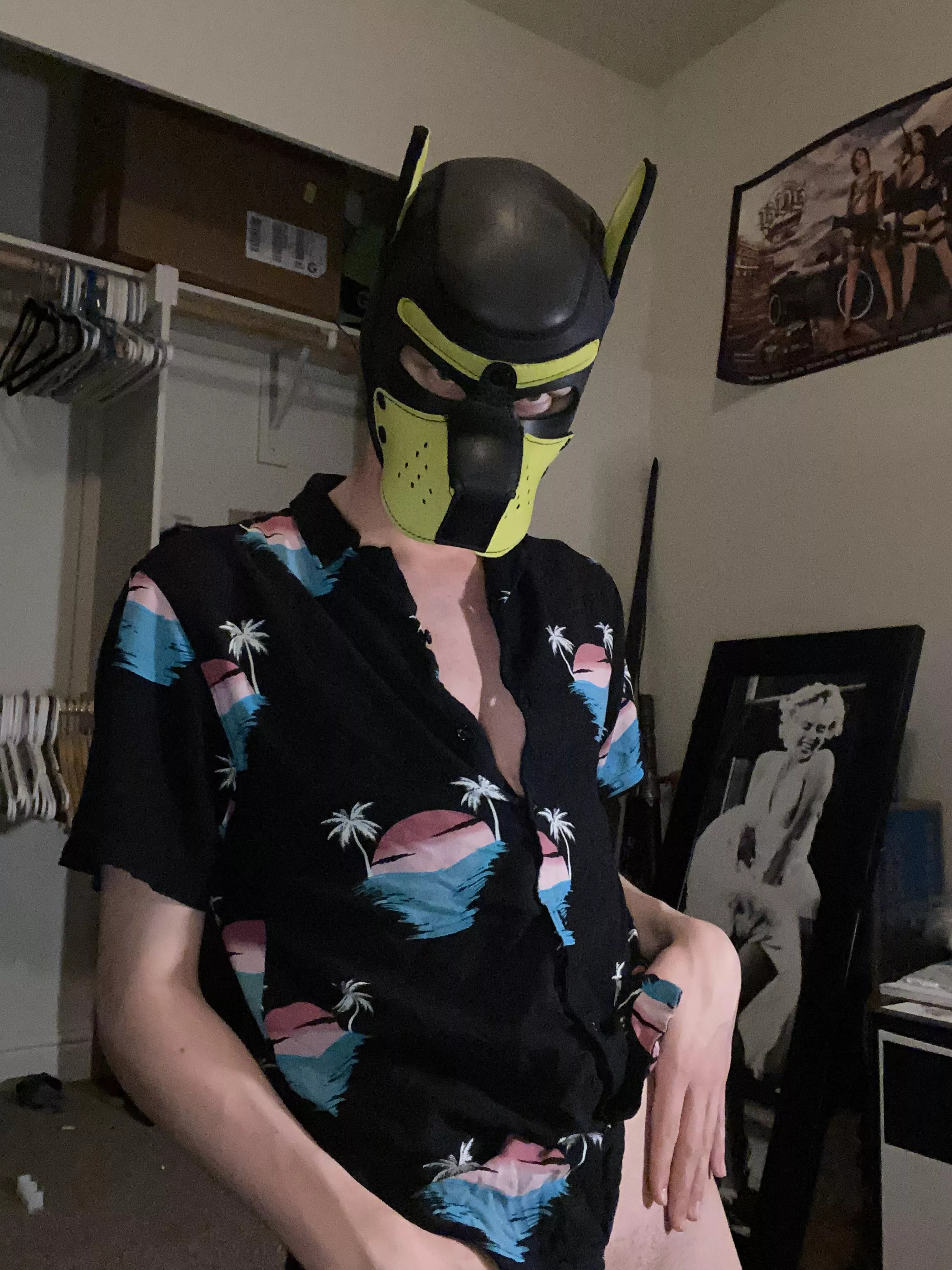ARF! Come here pup~