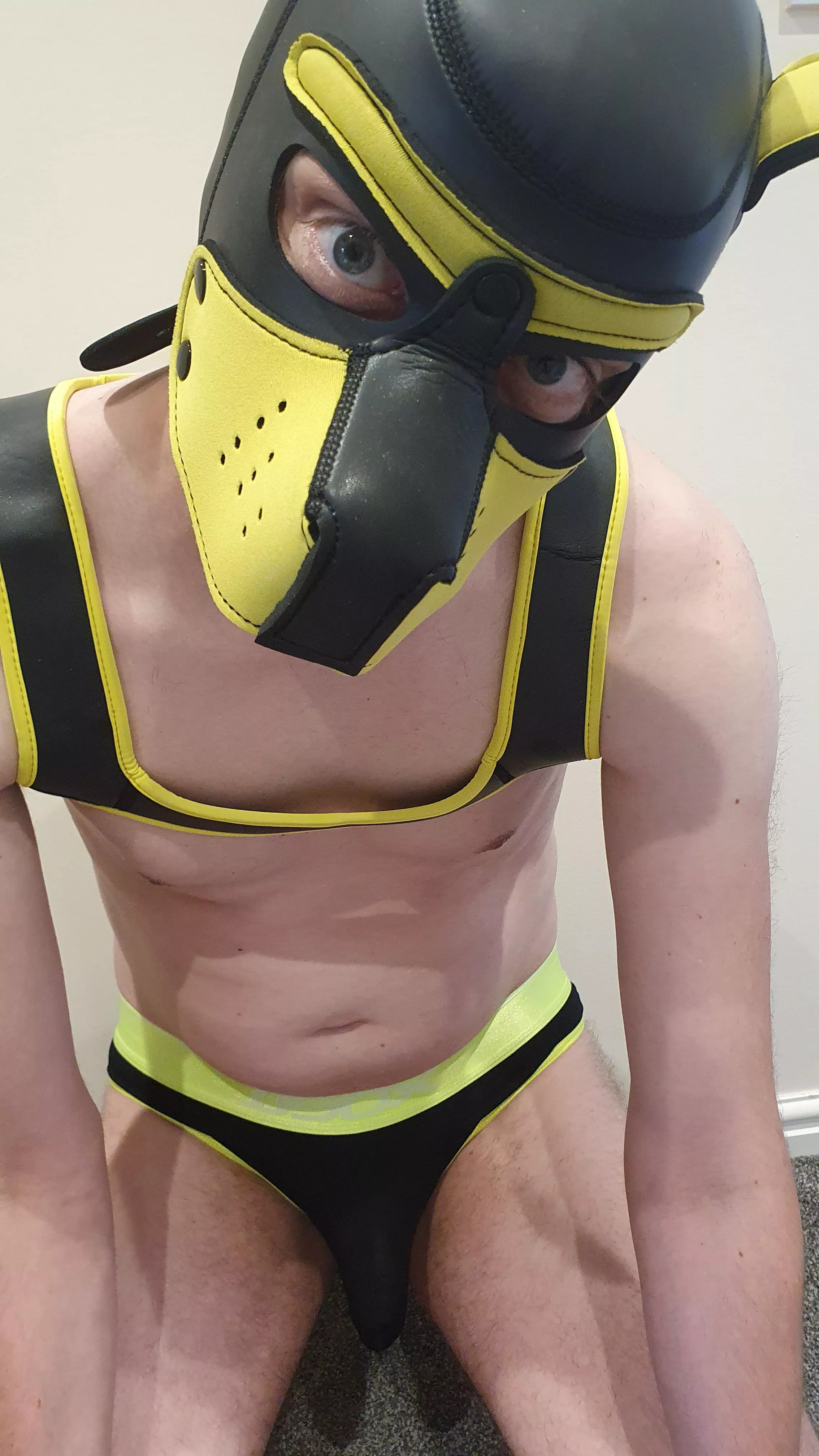 Arf! Don't mind me sitting down here. 🐶