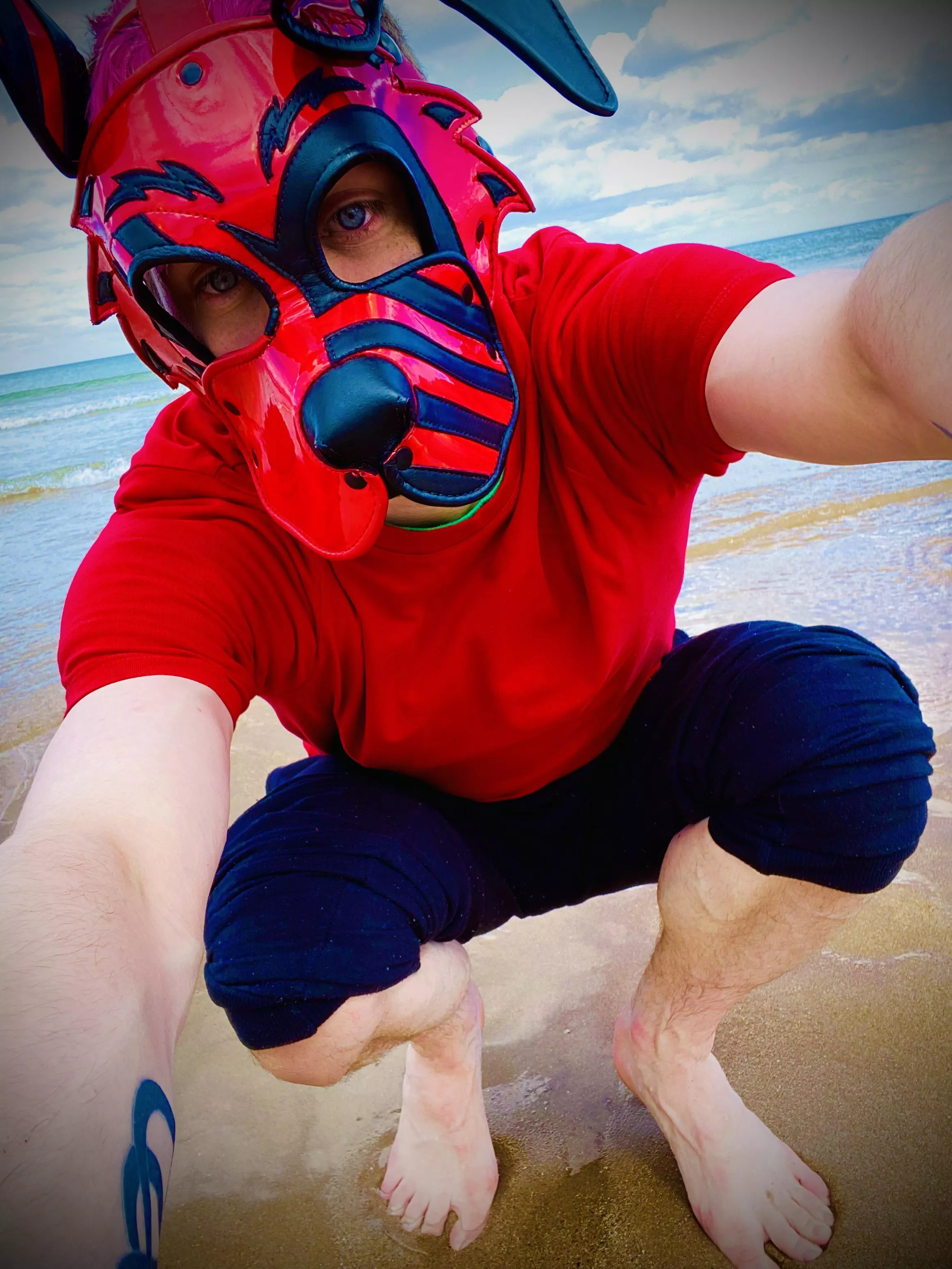 Arf?!