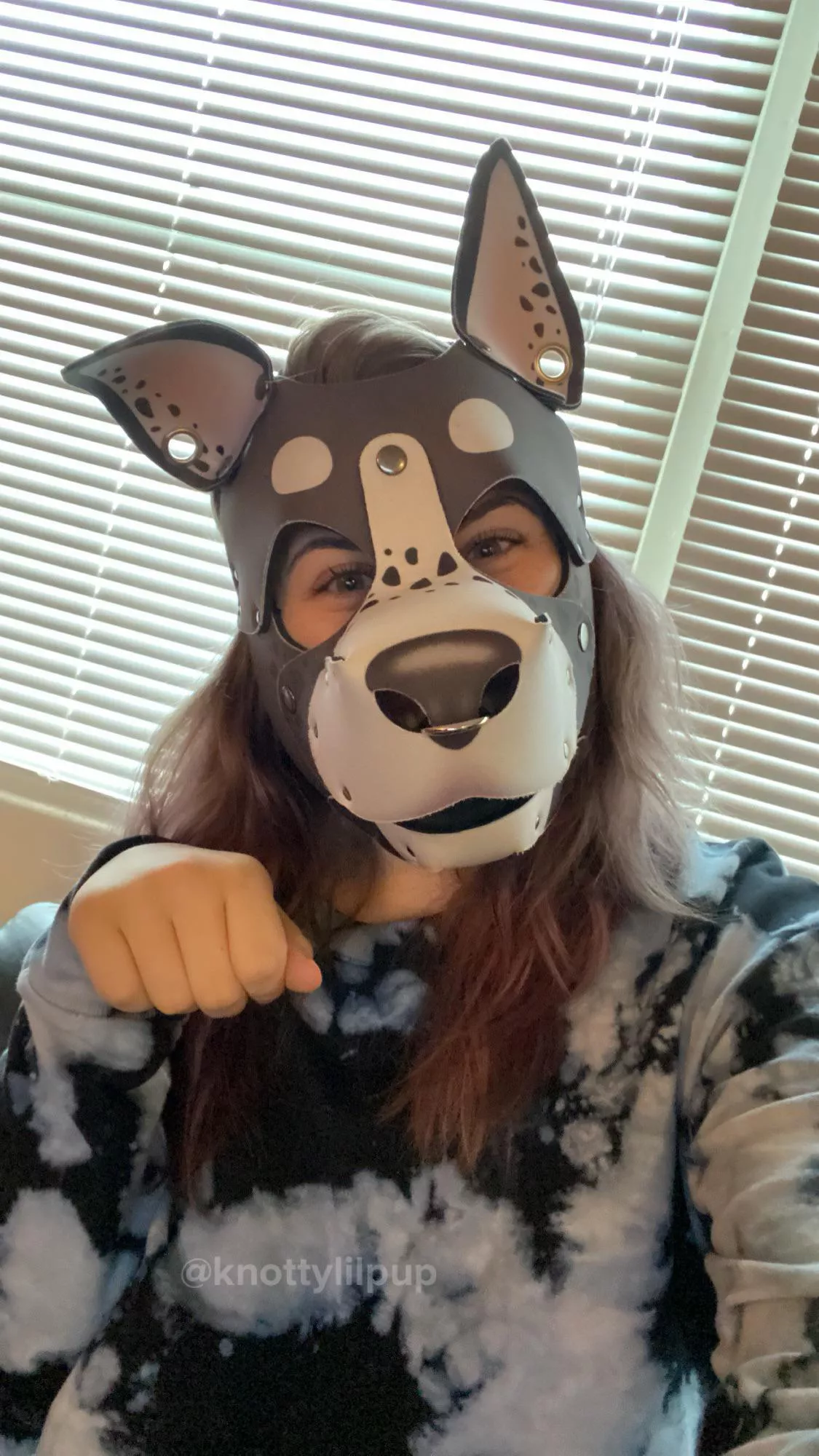Arf!! 😋🐾