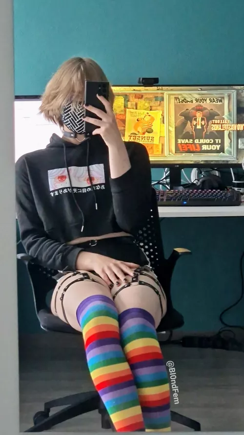 Average Fallout New Vegas enjoyer