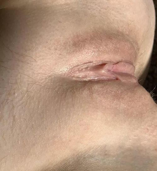 Baby butterfly wings