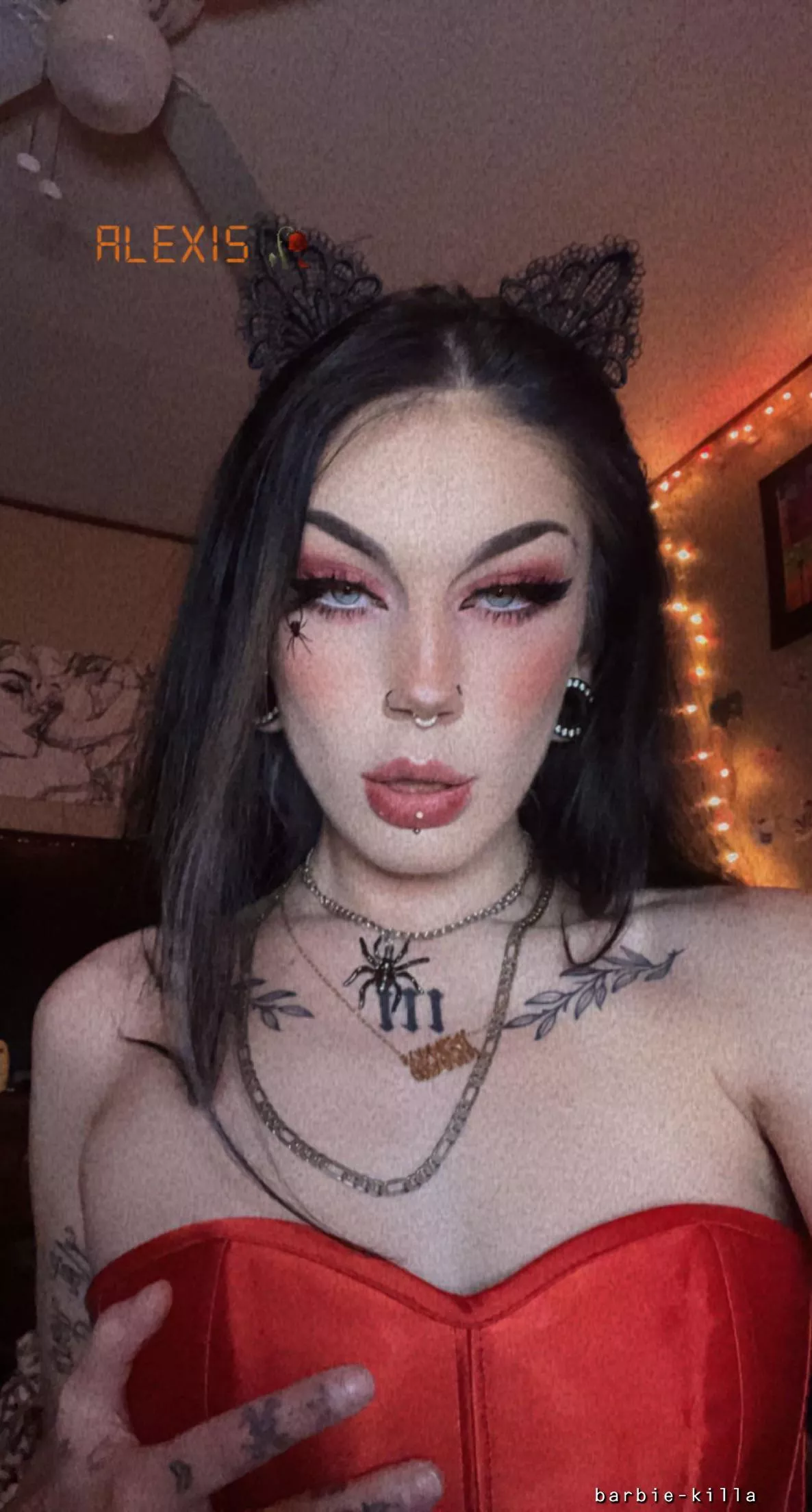 bad kitty :3