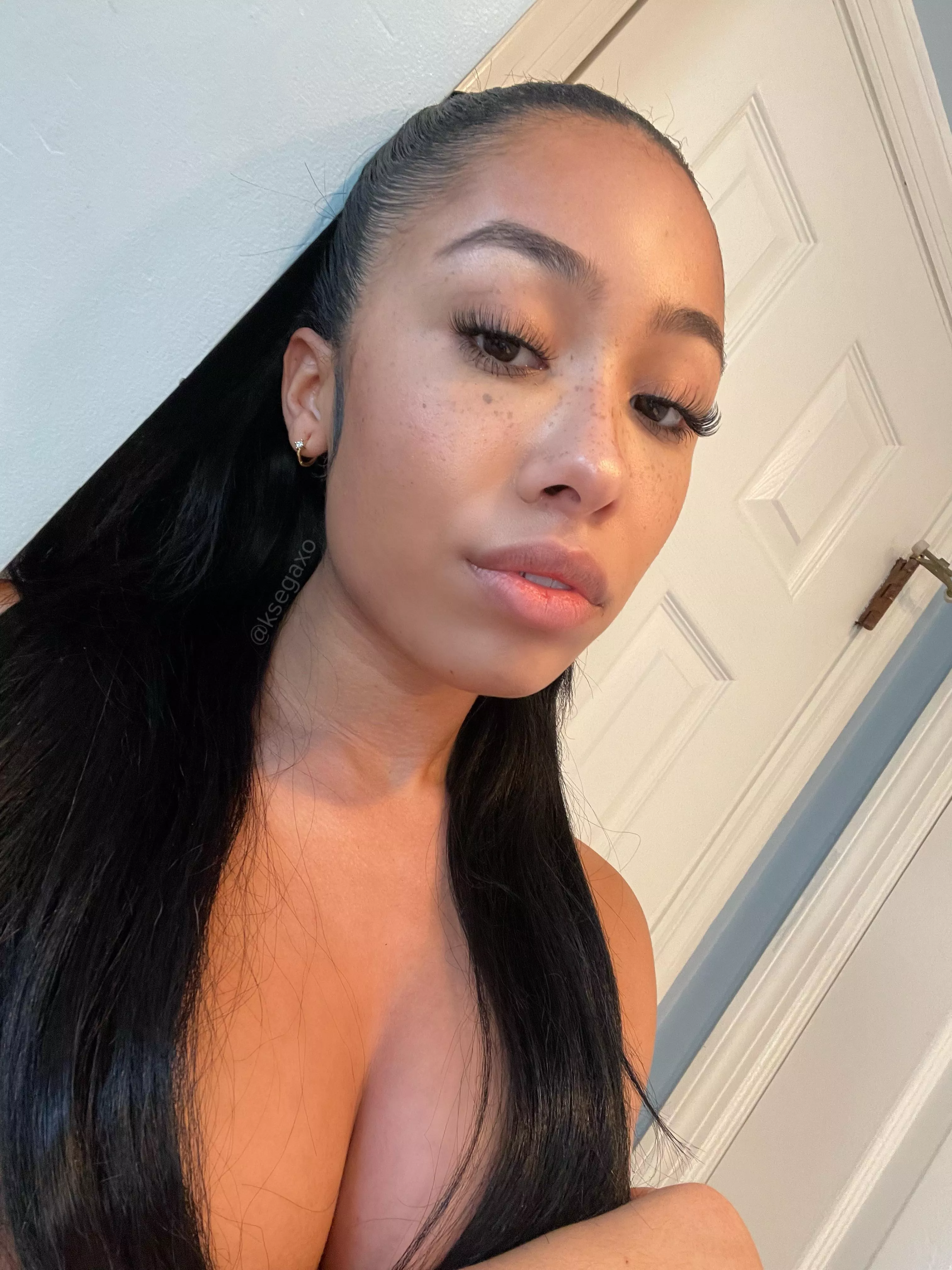 Bahamian x Dutch