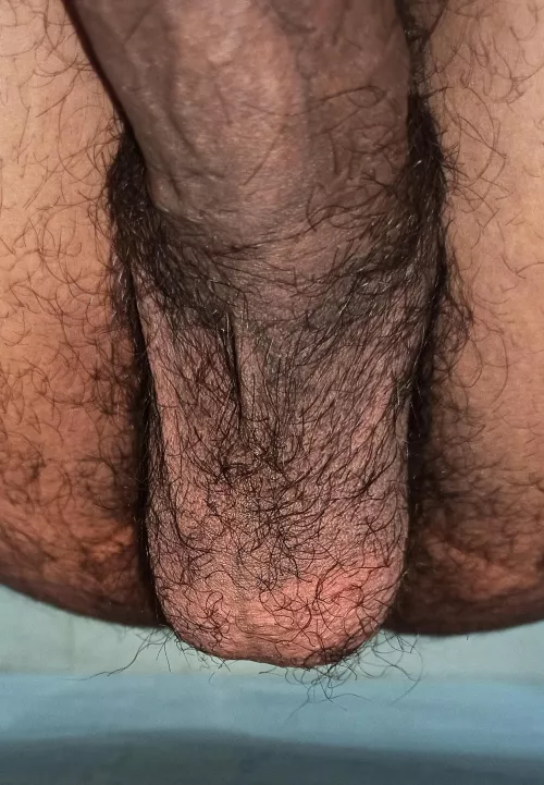 🎱🎱 balls! i think I need to shave!