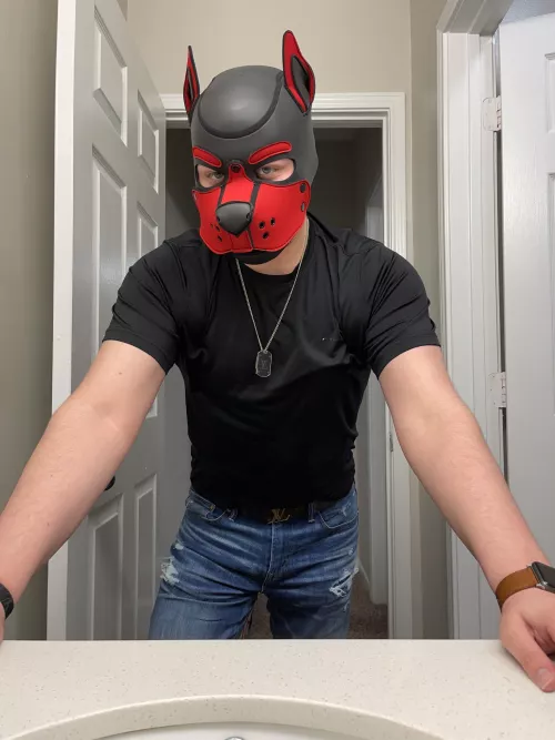 Bark, good afternoon. 😘