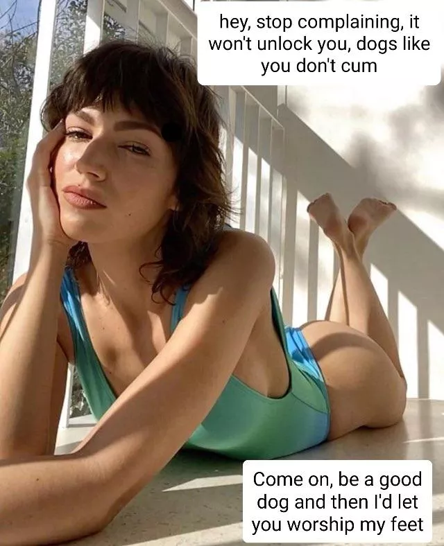 Be a good dog