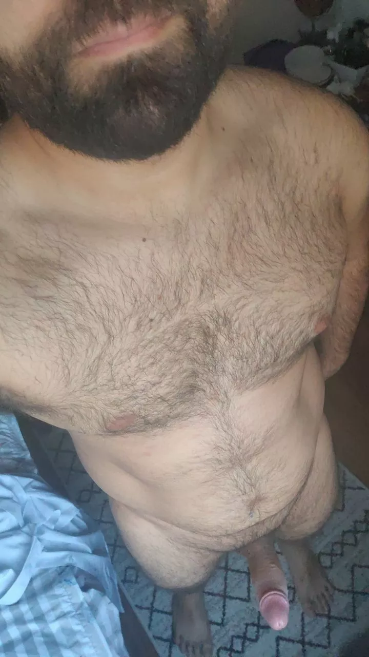 Beard ✅ Boner ✅