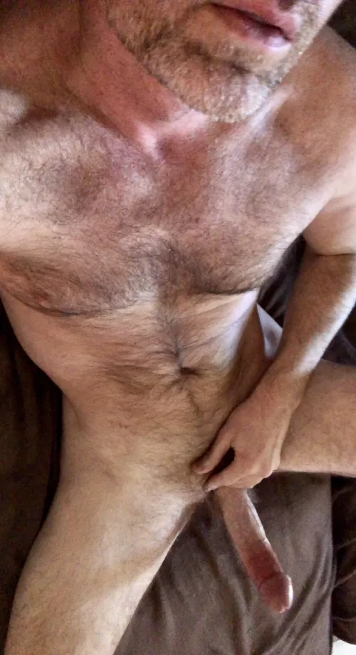 Beard ✅ Boner ✅ PM me