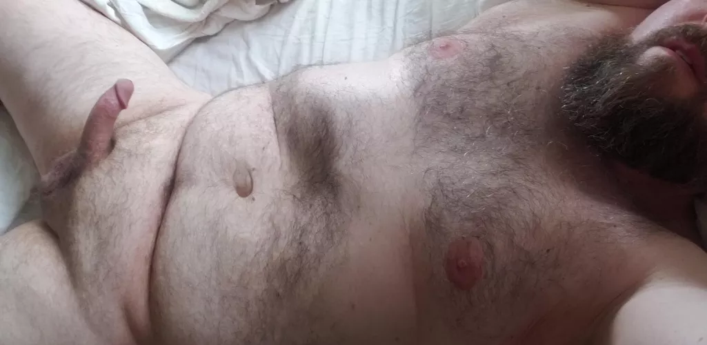 Beard, Hairy and Chubby.. Am I doing this right?