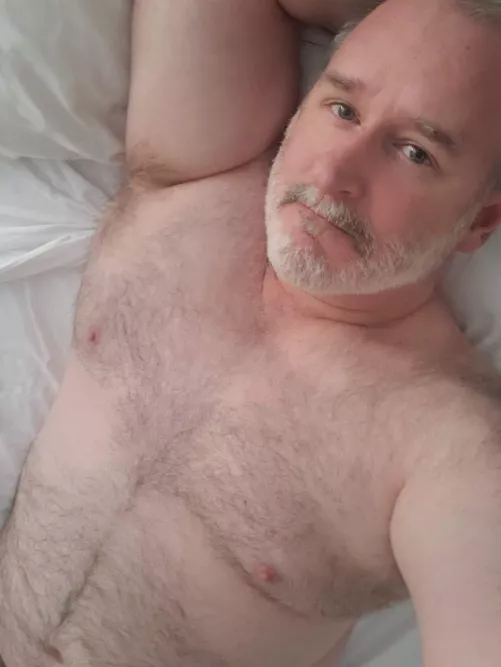 Bears are for cuddling with, right?