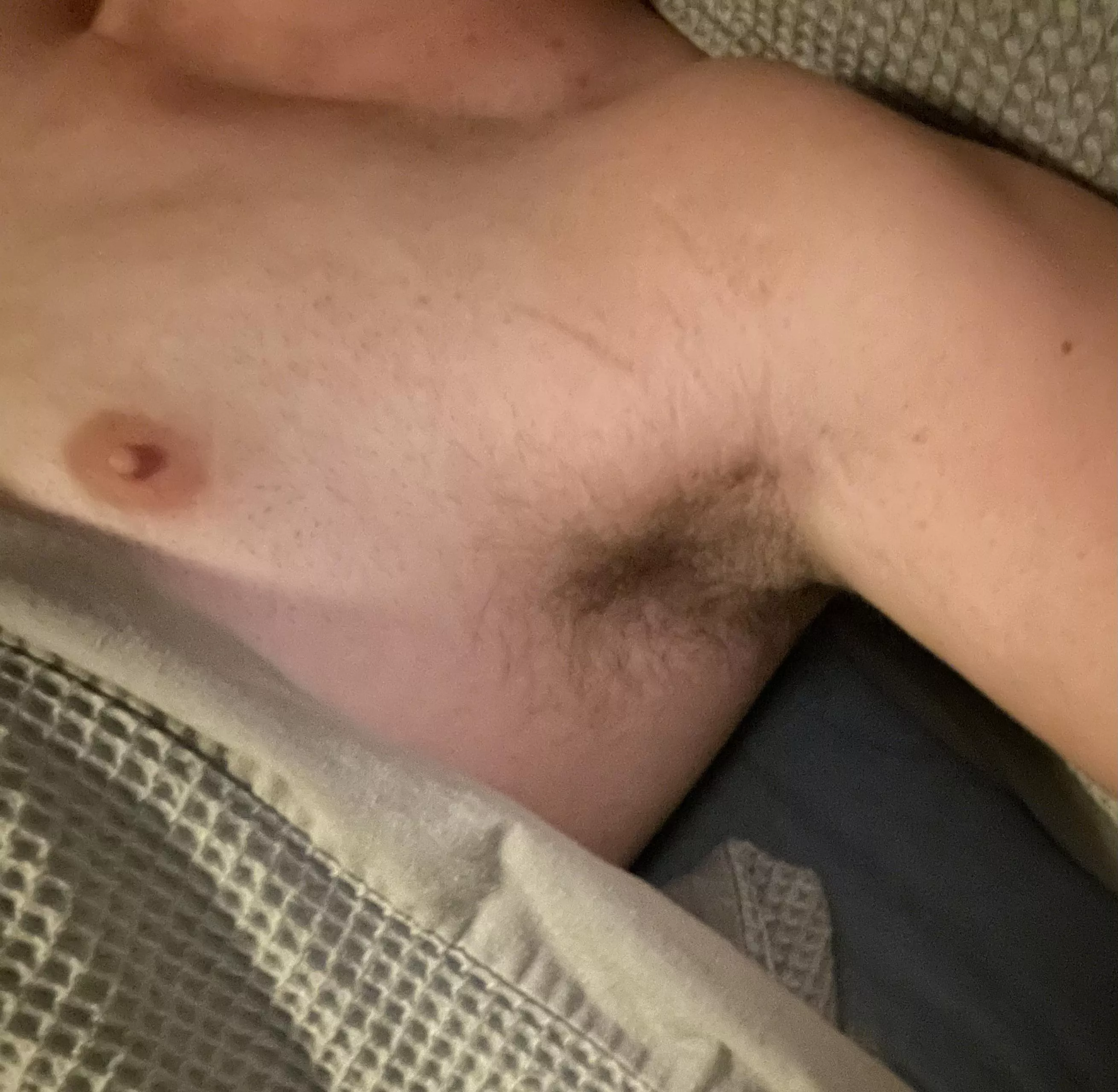 BedPit