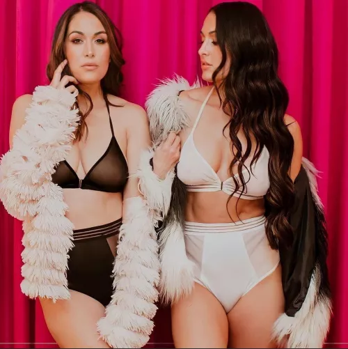 Bella Twins