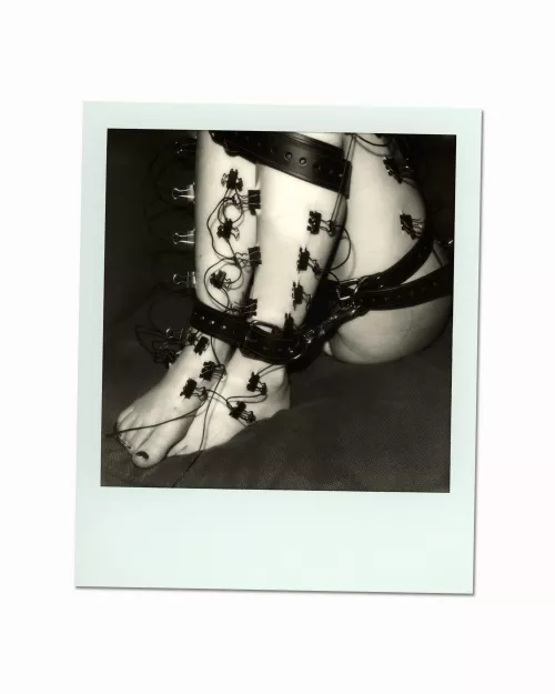 binder clip zipper [F]