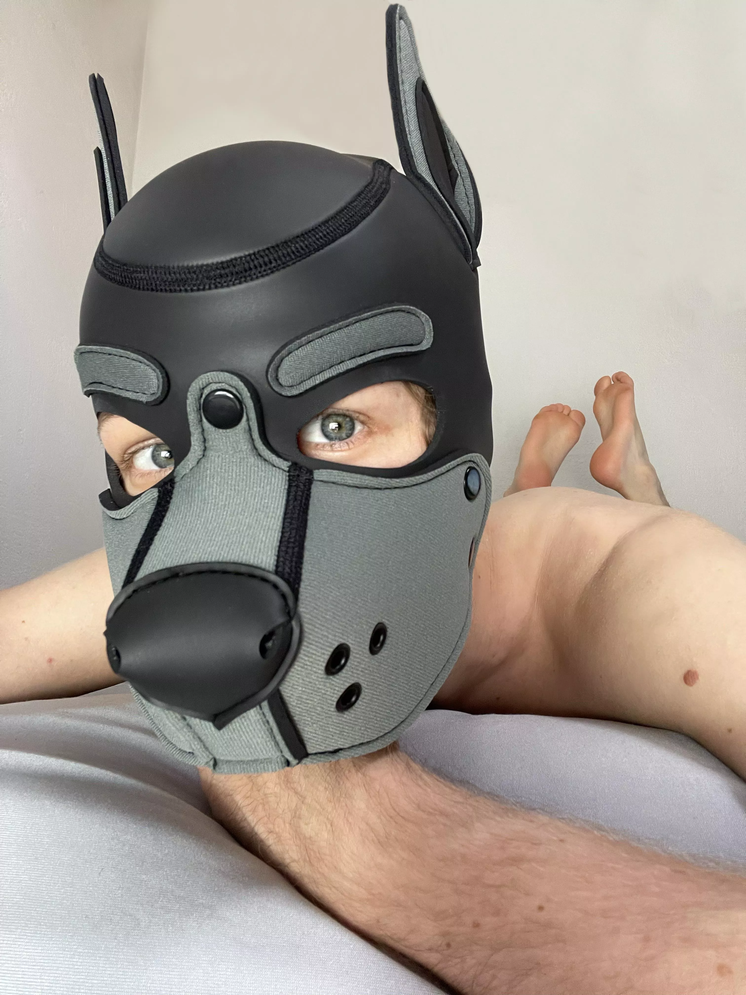 boop!