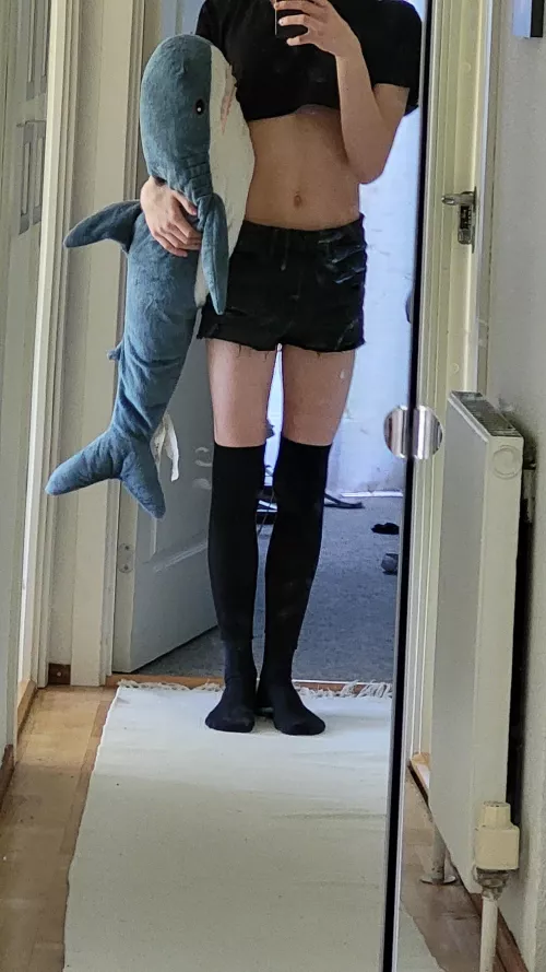 boy and shark🦈