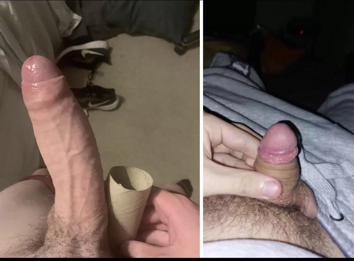 Bull vs Femboy