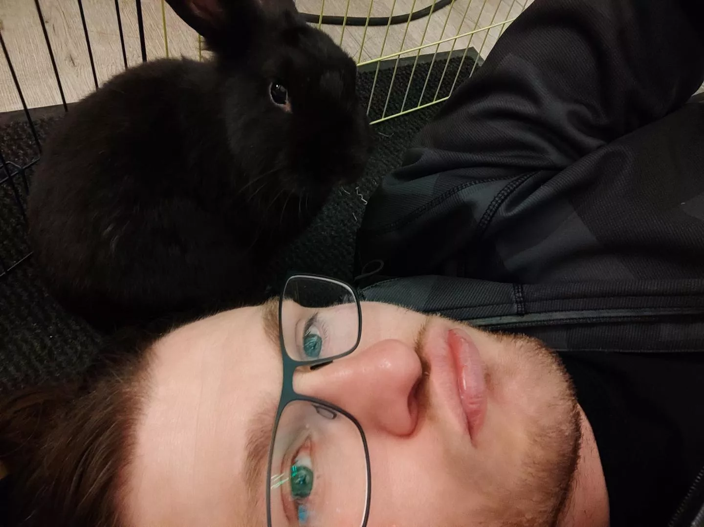 Bunny time!