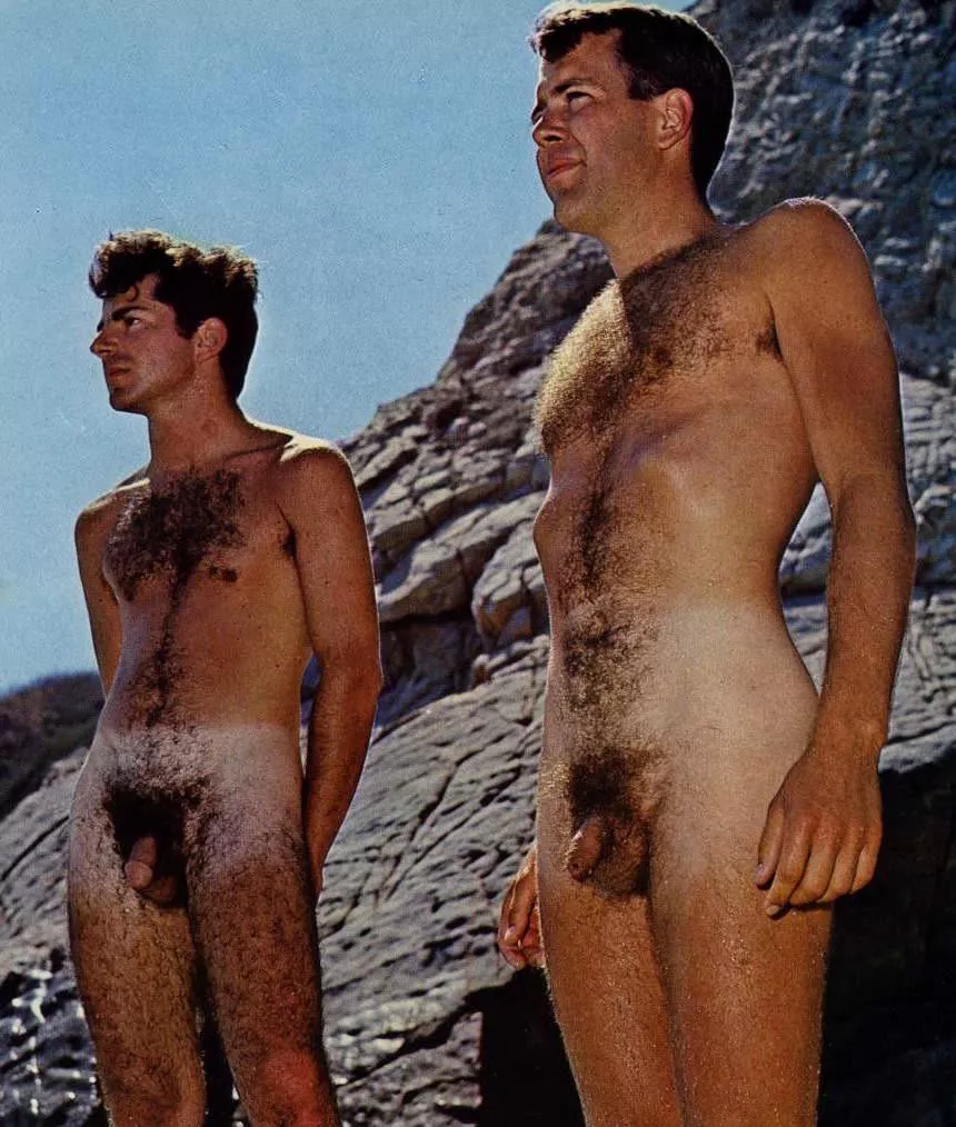 “Bush” …