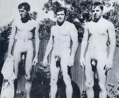 “Bush x 3” …